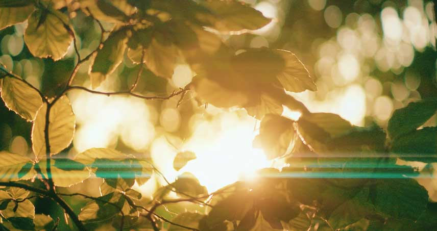 Luce e Speranza: le nuove generazioni della nostra Famiglia Religiosa